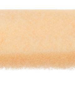 1721985O_scotch-brite-high-gloss-disc-8-in-x-nh-50-per-case
