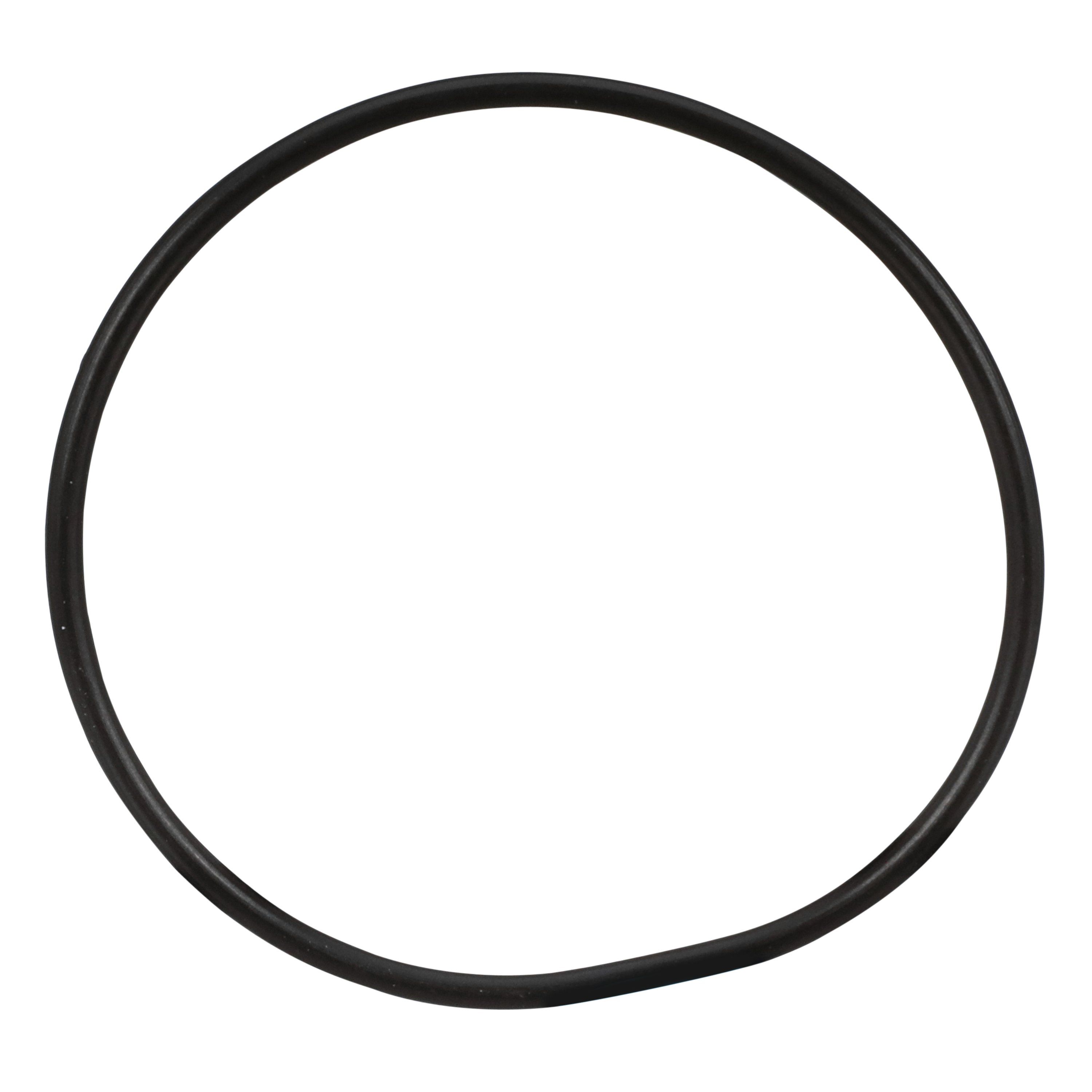3M™ O-Ring, 24.0 x 1.0 55176